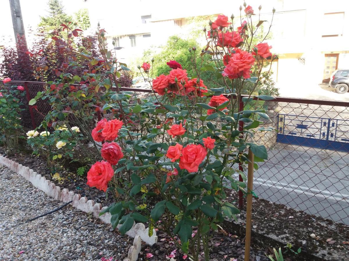 Bed And Breakfast Les Roses Multicolores Du 47 Fumel Екстер'єр фото